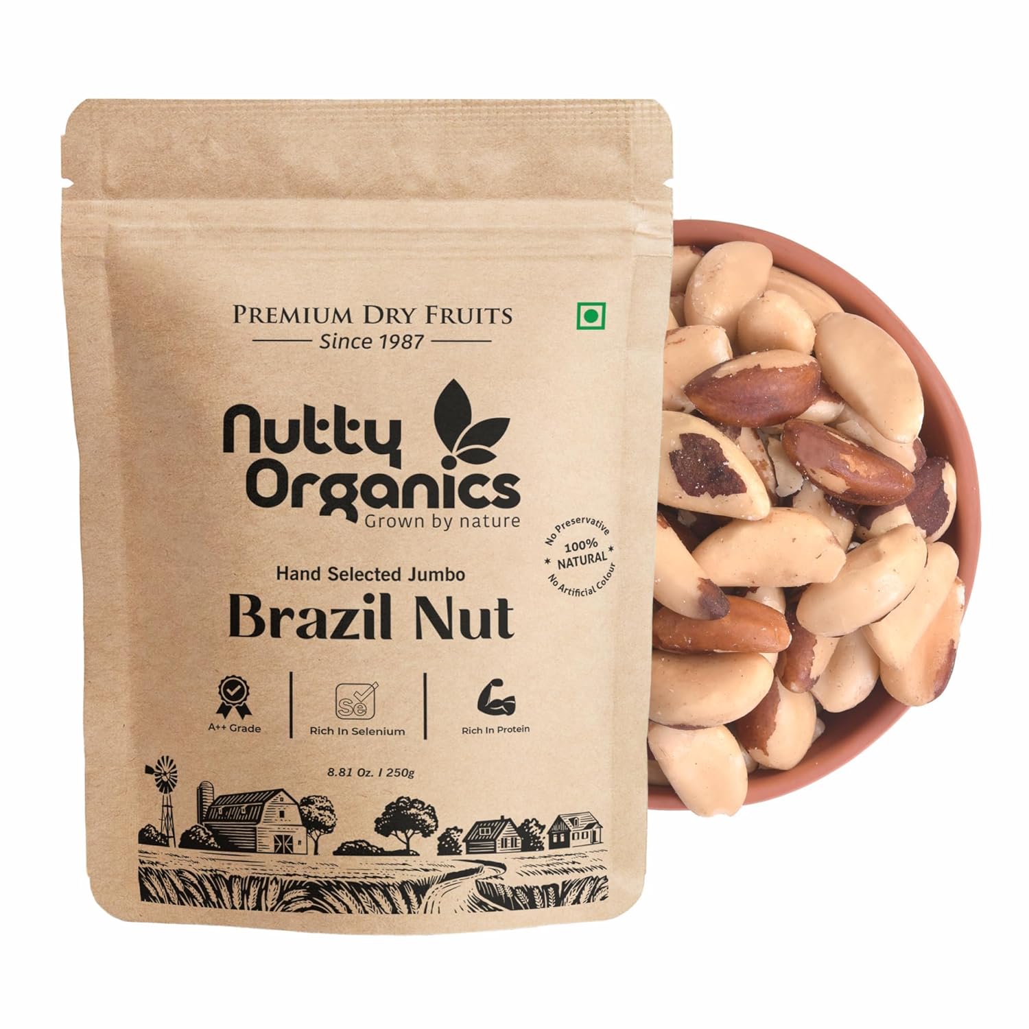 Brazil Nuts 100 GM