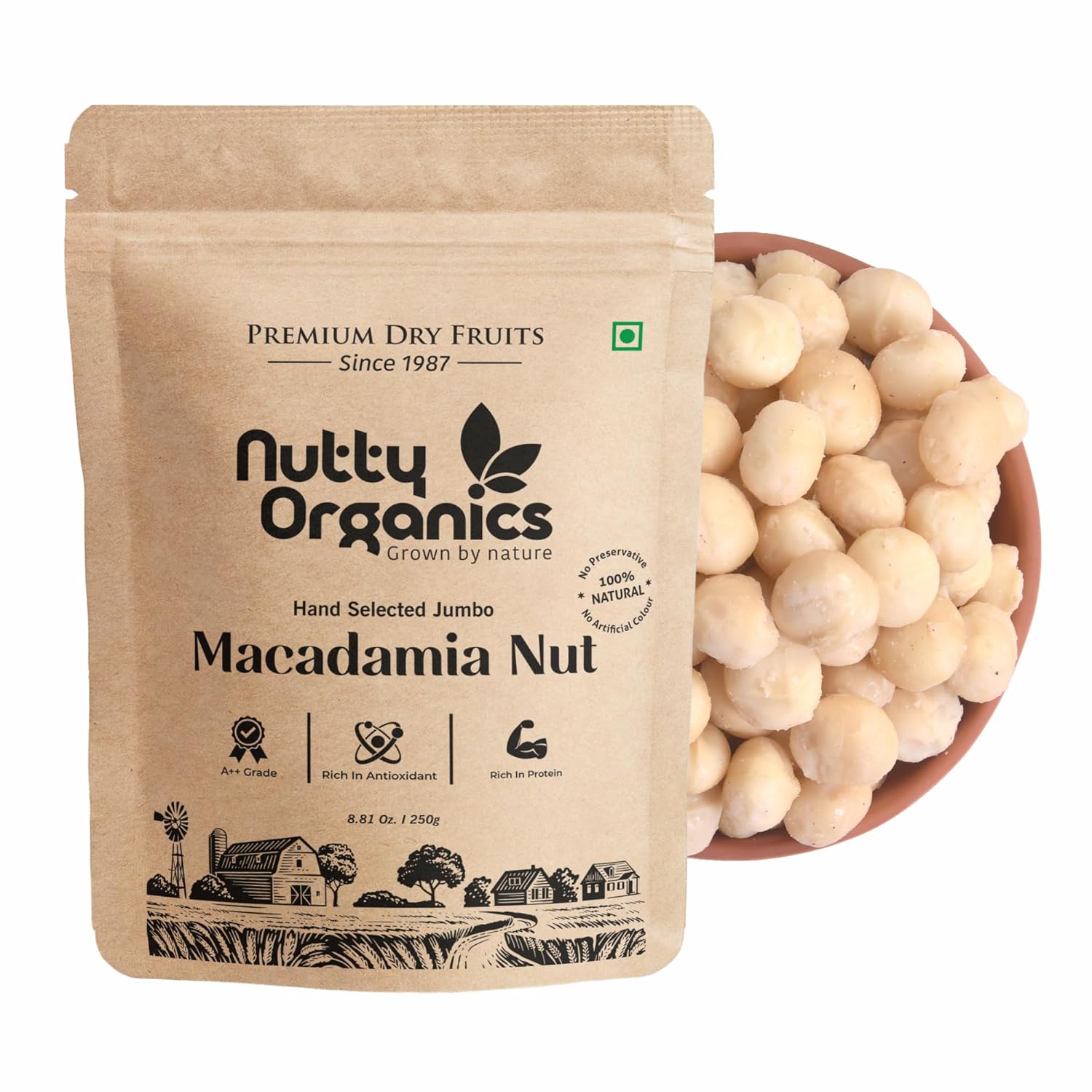 Macadamia Nuts 250 GM